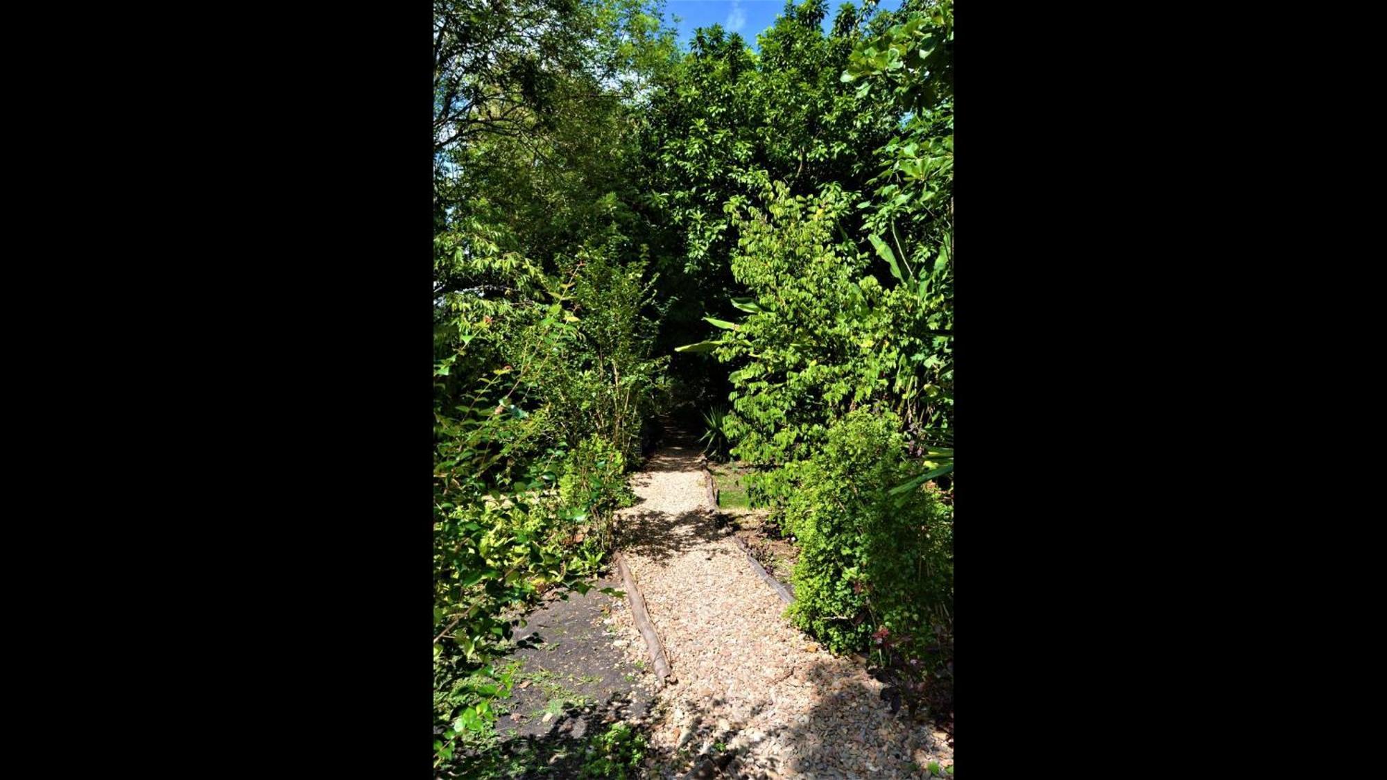 Iguana Roost Tourism Gold Standard Fully Equipped Two Bedroom Cabin San Ignacio Exterior foto
