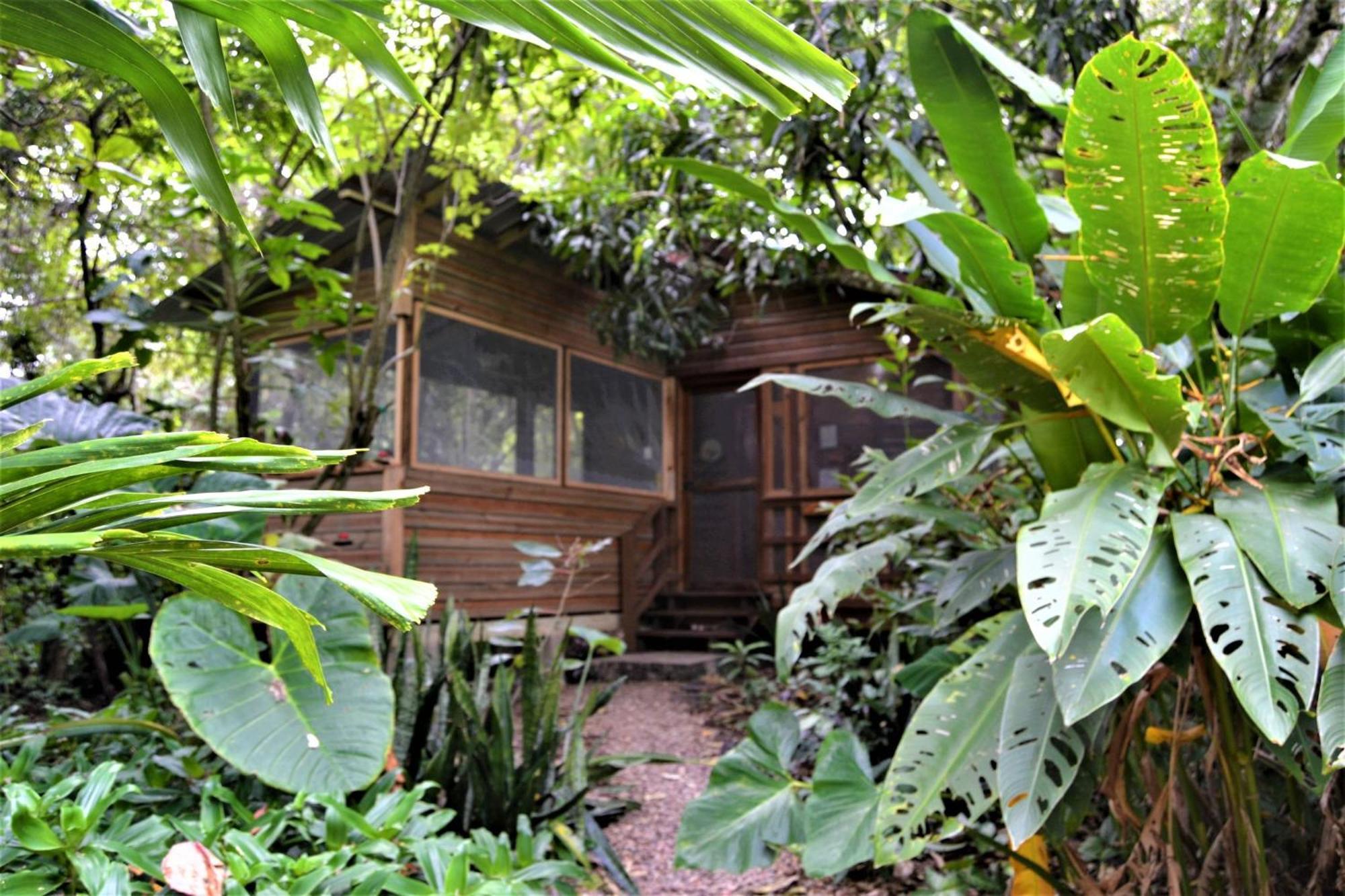 Iguana Roost Tourism Gold Standard Fully Equipped Two Bedroom Cabin San Ignacio Exterior foto